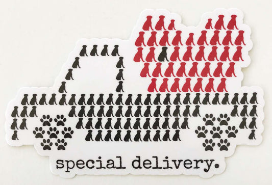 Special Delivery - decal