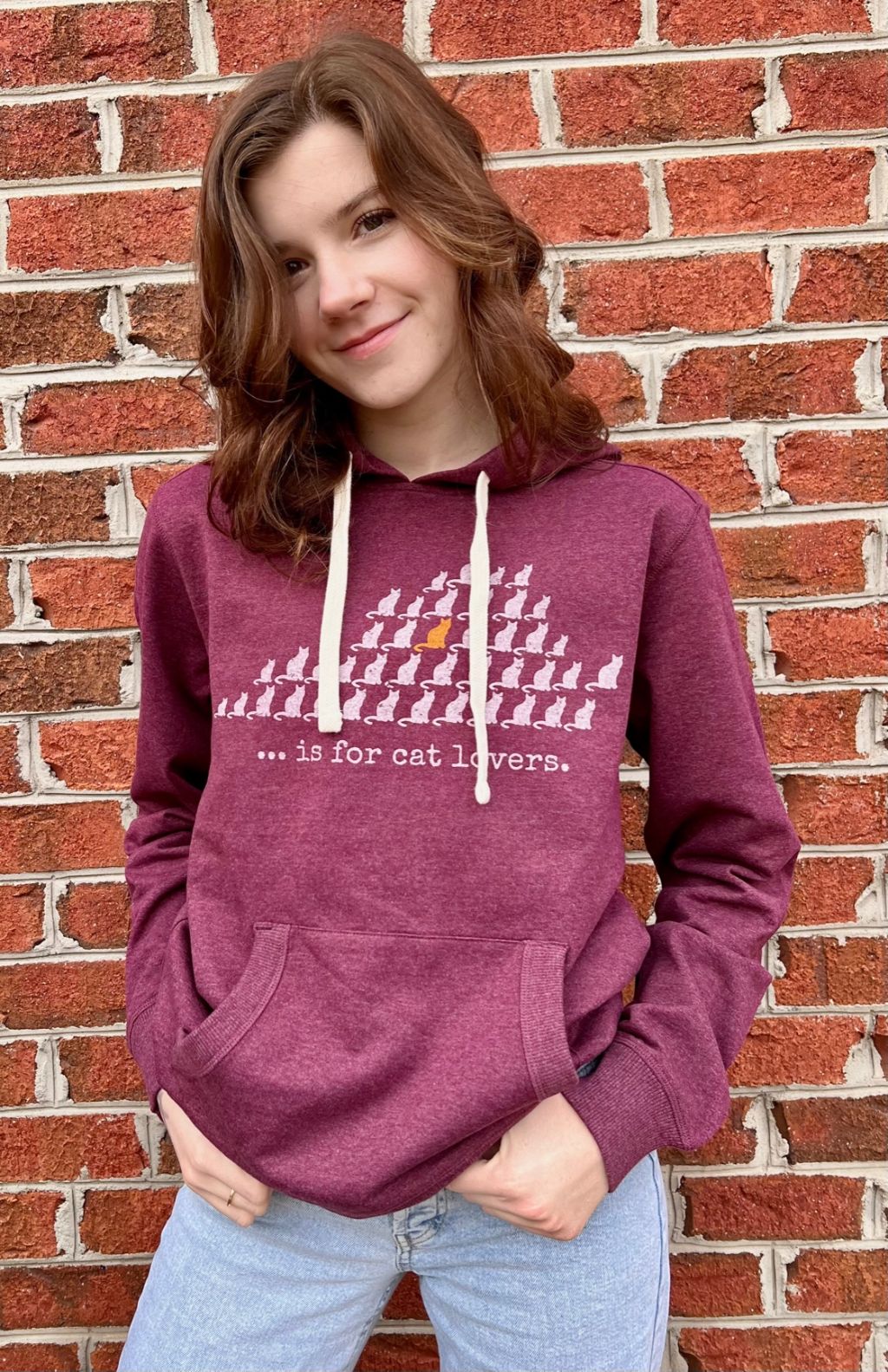 Virginia is for cat lovers Hoodie