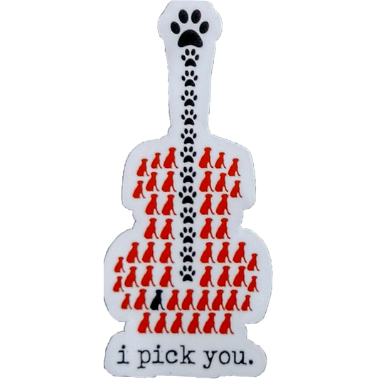 Guitar- I Pick You - decal